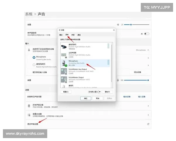 MorphVox Pro语音变换软件值不值得一试 MorphVox Pro语音变换软件值不值得一试