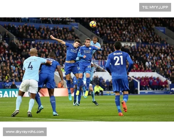 如何从各方面分析英冠联赛的公正竞争性及其影响因素