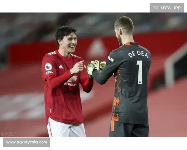 张伯伦所踢位置的多样化及其对球队战术体系的重要影响