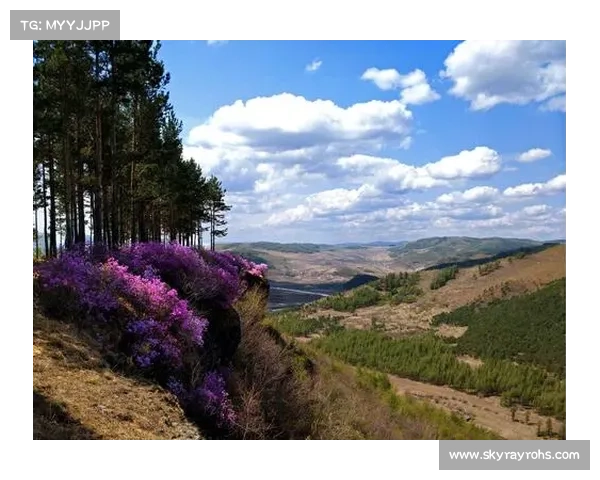 回望那些中国足球对阵巴西的五大巅峰对决壮丽瞬间与永恒激情记忆
